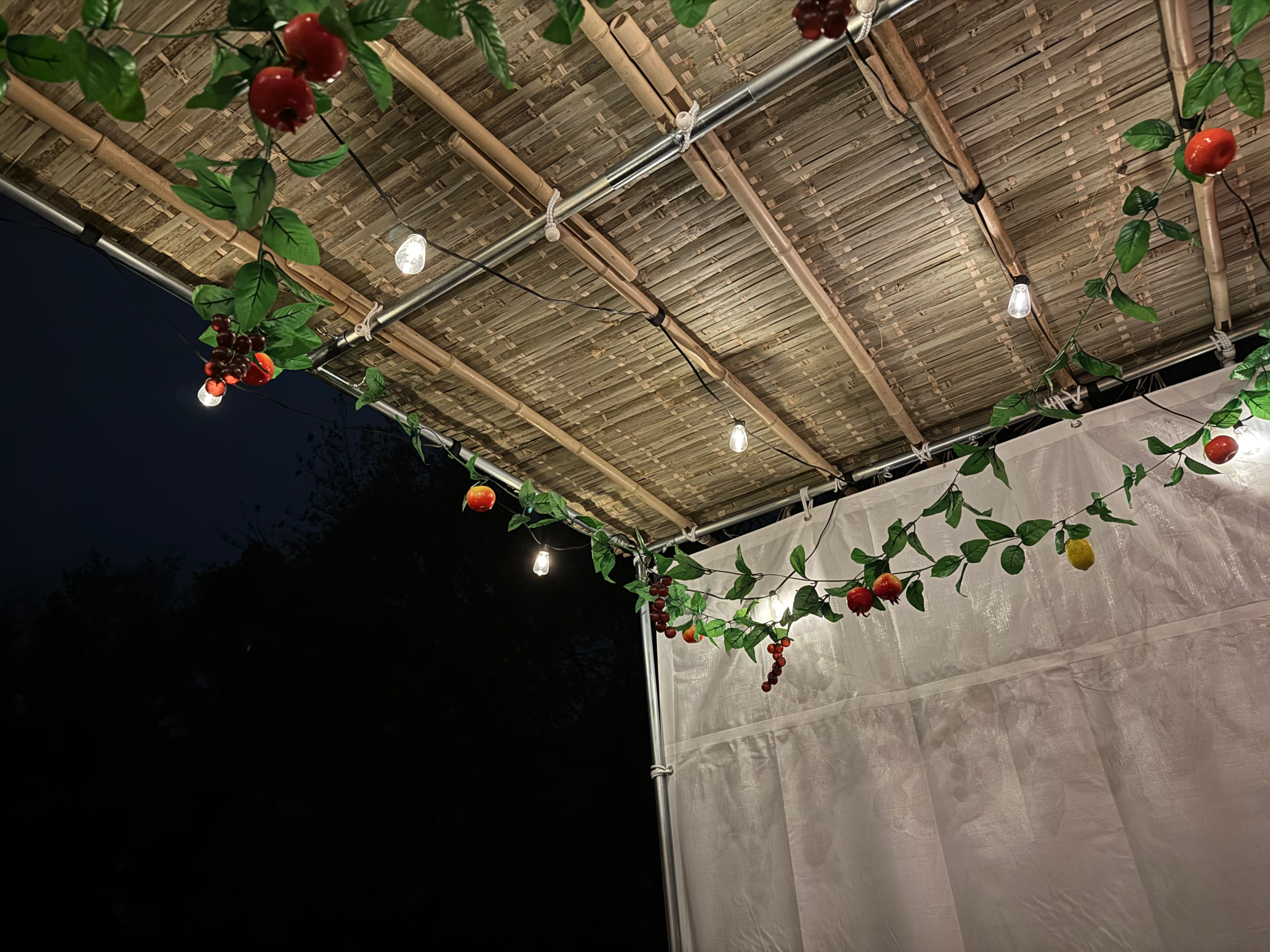 There Was a Tiny Hut in My Backyard…and the Neighbors Were Confused